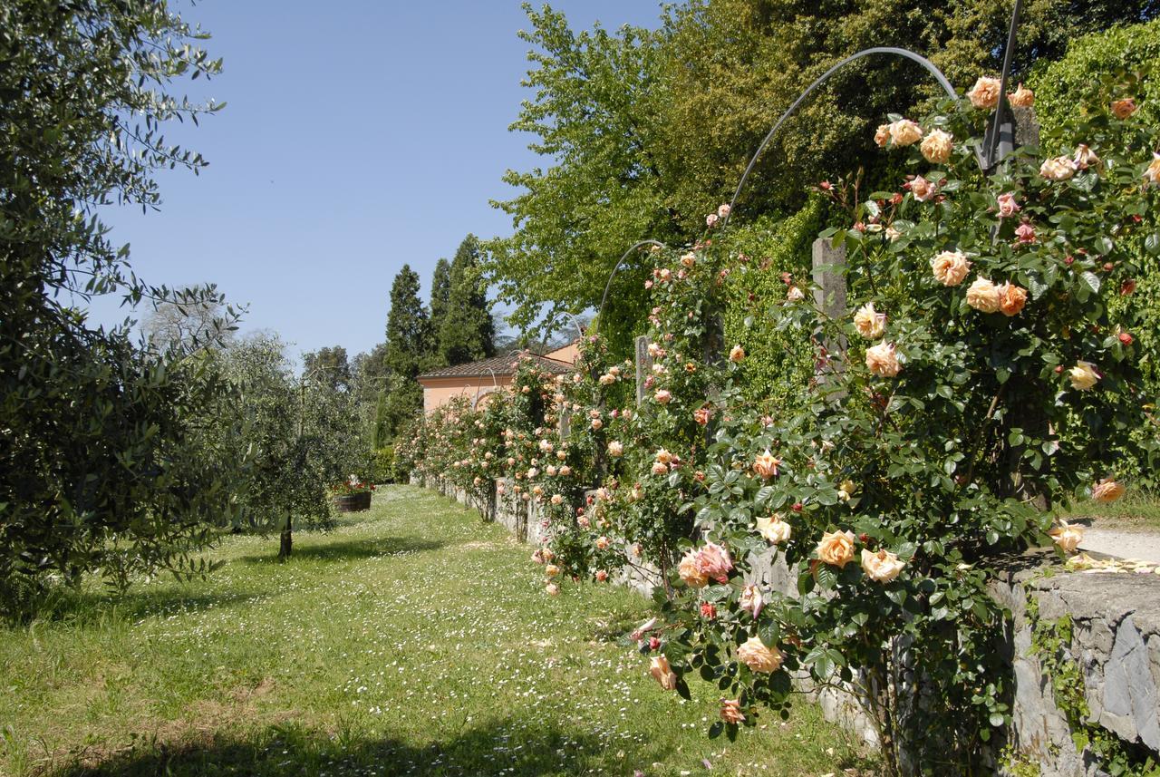 La Chiusa Di Nanni Piaggiori Exterior foto